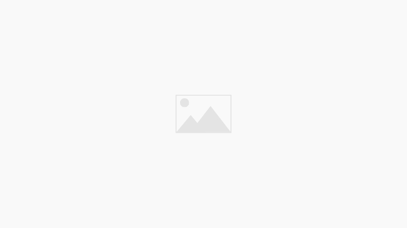 Awards 2017 - 2019