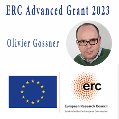 Olivier Gossner, recipient of the 2023 ERC Advanced Grant